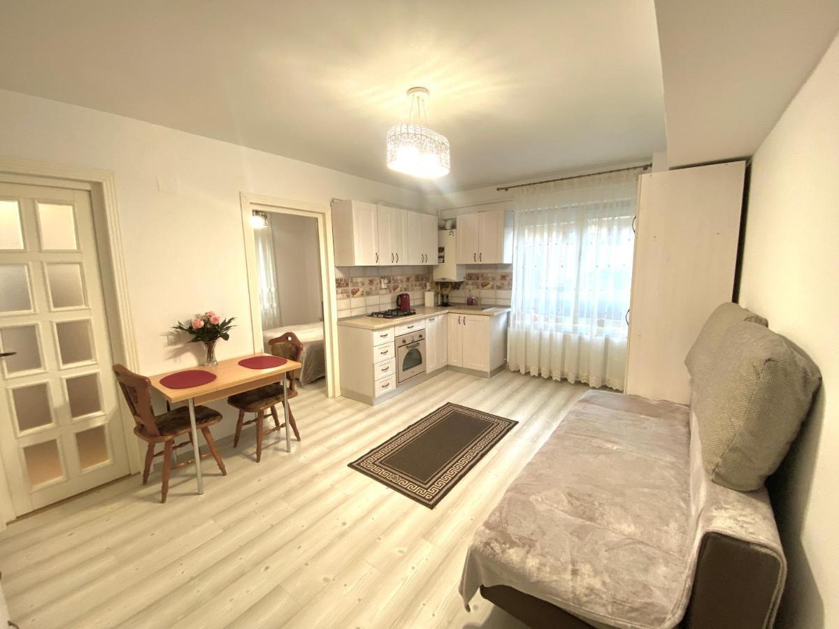 Apartament Sara Apartment Iasi Luaran gambar